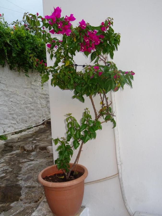 Fotis House Villa Koróni Exteriör bild